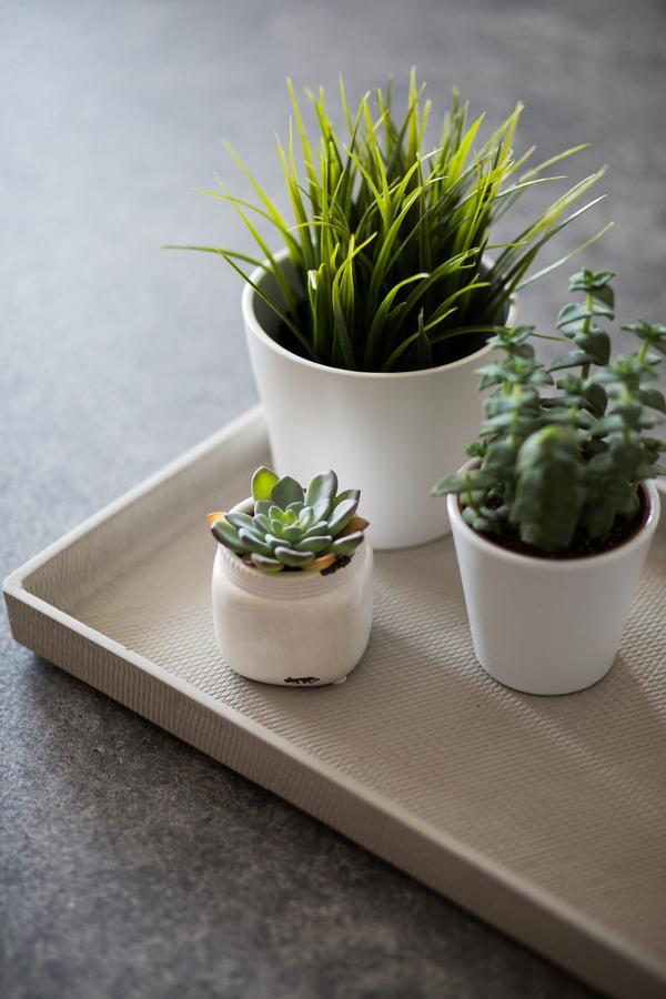 Stylish And Spacious 2Bd - Thiseio By Upstreet Athen Eksteriør bilde